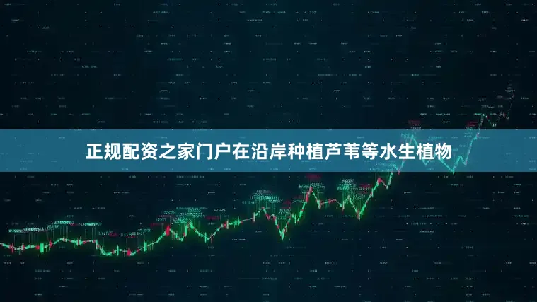 正规配资之家门户在沿岸种植芦苇等水生植物